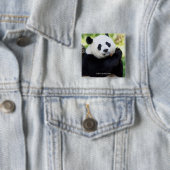 Giant Panda Sitting Vierkante Button 5,1 Cm (In situ)