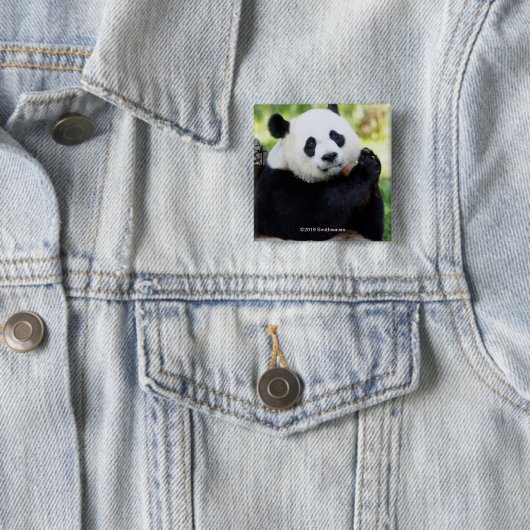 Giant Panda Sitting Vierkante Button 5,1 Cm (In situ)