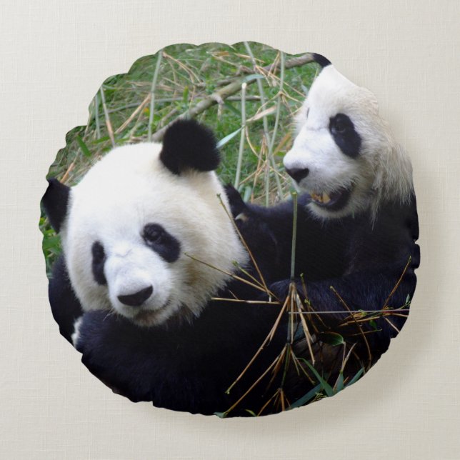 Giant Panda Spelen & Liefde Rond Kussen (Voorkant)