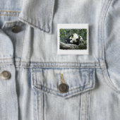 Giant Panda Square Pin Vierkante Button 5,1 Cm (In situ)