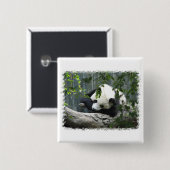 Giant Panda Square Pin Vierkante Button 5,1 Cm (Voorkant /achterkant)