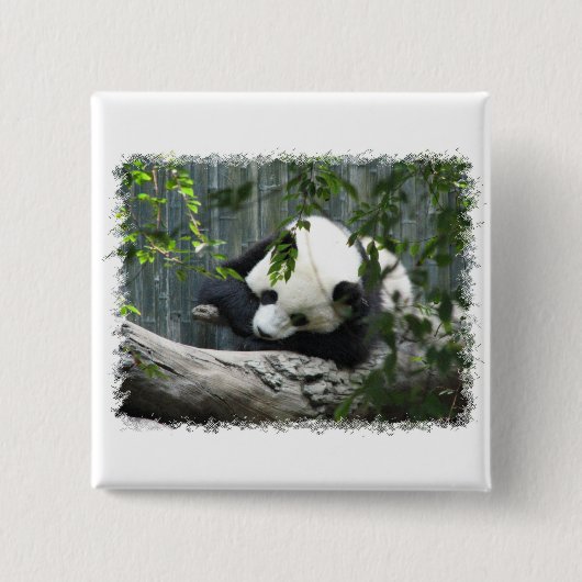 Giant Panda Square Pin Vierkante Button 5,1 Cm (Voorkant)