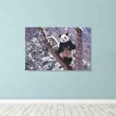 Giant Panda staat op boom, Wolong, Sichuan, Canvas Afdruk (Insitu (Houten vloer))