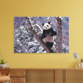 Giant Panda staat op boom, Wolong, Sichuan, Canvas Afdruk (Insitu (Woonkamer))