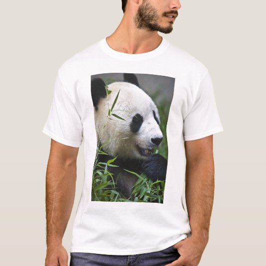 Giant Panda T-shirt (Voorkant)