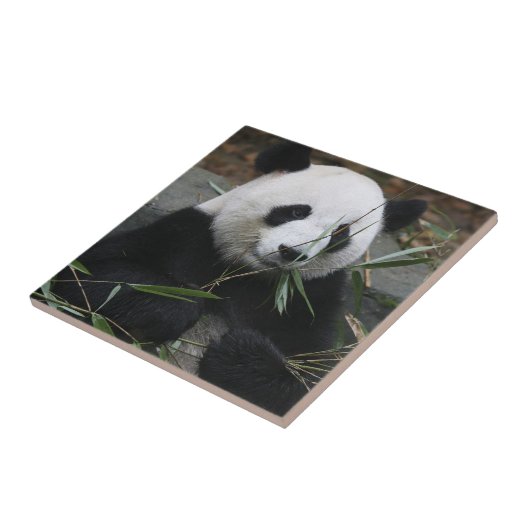 Giant panda tegeltje (Zijkant)