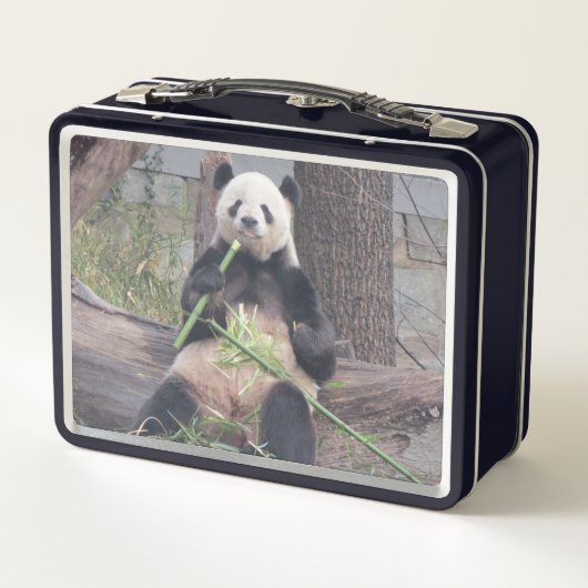 Giant Panda Tian Metal Lunchbox (Achterkant)