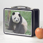 Giant Panda Tian Metal Lunchbox (In situ)