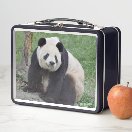 Giant Panda Tian Metal Lunchbox (In situ)