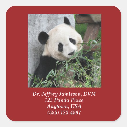 Giant Panda, Veterinair, DVM, Rode Kerstmis Vierkante Sticker (Voorkant)