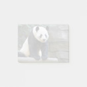 Giant Panda Yang Yang bij Zoo Atlanta Post-it® Notes (Voorkant)