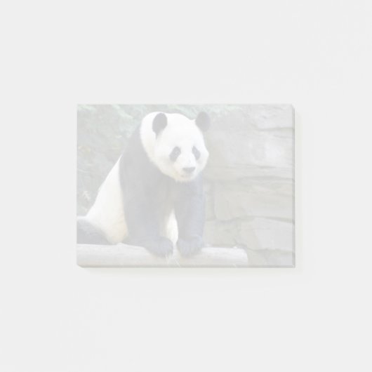 Giant Panda Yang Yang bij Zoo Atlanta Post-it® Notes (Voorkant)