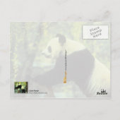 Giant Panda Yoga Stretch Briefkaart (Achterkant)