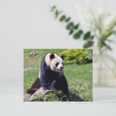 Giant panda zit op een steen feestdagenkaart (Staand voorkant)