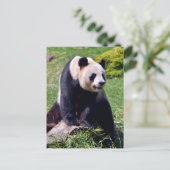 Giant panda zit op een steen feestdagenkaart (Staand voorkant)