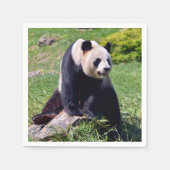 Giant panda zit op een steen servet (Voorkant)