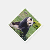 Giant panda zit op een steen servet (Hoek)