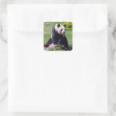 Giant panda zit op een steen vierkante sticker (Tas)