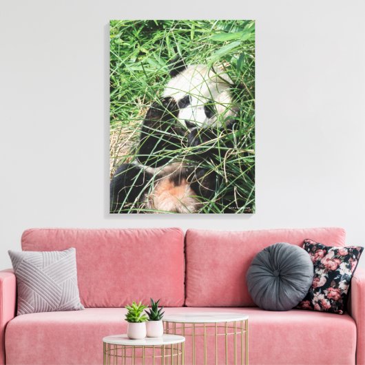 Giant Panda zweert in gras Canvas Afdruk (Insitu (Woonkamer))
