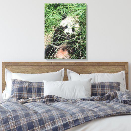 Giant Panda zweert in gras Canvas Afdruk (Insitu (Slaapkamer))