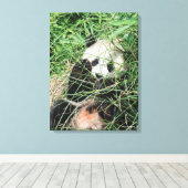 Giant Panda zweert in gras Canvas Afdruk (Insitu (Houten vloer))