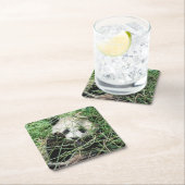 Giant Panda zweert in gras Kartonnen Onderzetters (Insitu)