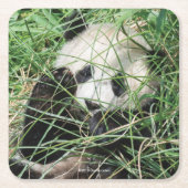 Giant Panda zweert in gras Kartonnen Onderzetters (Voorkant)