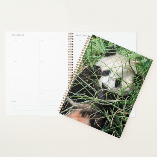 Giant Panda zweert in gras Planner (Display)