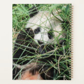 Giant Panda zweert in gras Planner (Achterkant)