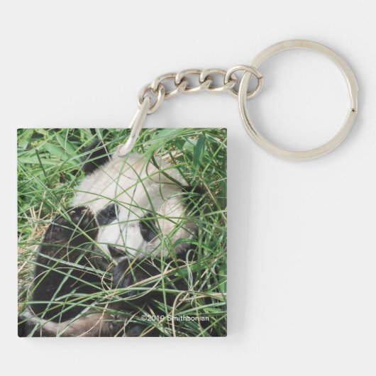 Giant Panda zweert in gras Sleutelhanger (Achterkant)