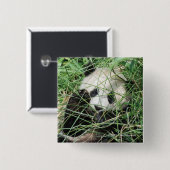 Giant Panda zweert in gras Vierkante Button 5,1 Cm (Voorkant /achterkant)