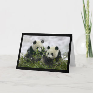 Giant Pandas Feestdagen Kaart