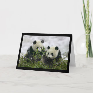 Giant Pandas Feestdagen Kaart