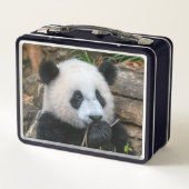 Giant Pandas Mei Xiang en Xiao Qi Ji Lunch Box (Achterkant)