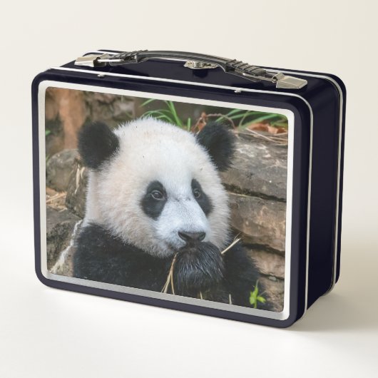 Giant Pandas Mei Xiang en Xiao Qi Ji Lunch Box (Achterkant)