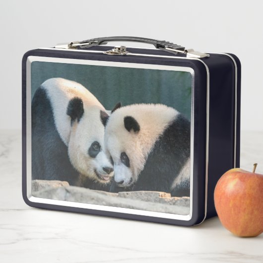 Giant Pandas Mei Xiang en Xiao Qi Ji Lunch Box (In situ)