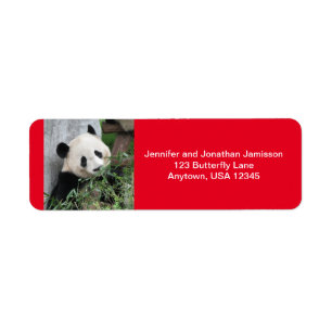 Giant Pandas Return-adreslabels, rood Etiket