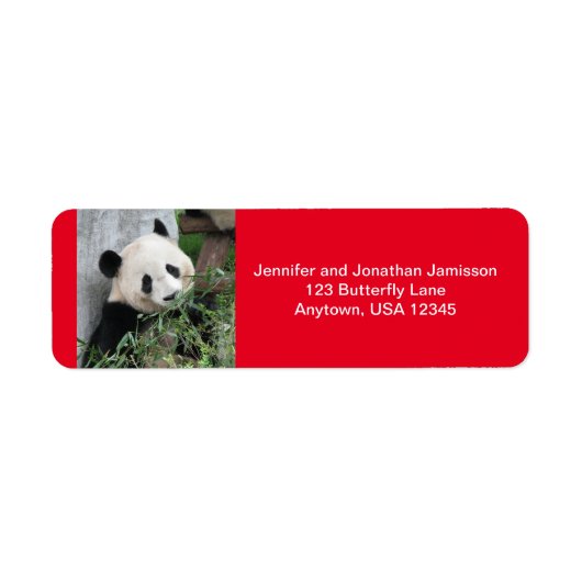 Giant Pandas Return-adreslabels, rood Etiket (Voorkant)