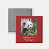 Giant Pandas Veterinarian Vet Promotional Giveaway Magneet (Voorkant / Achterkant)