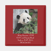 Giant Pandas Veterinarian Vet Promotional Giveaway Magneet (Voorkant)