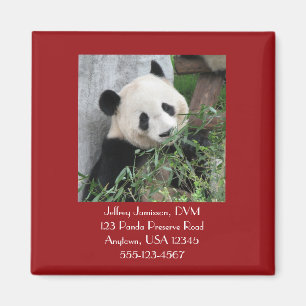 Giant Pandas Veterinarian Vet Promotional Giveaway Magneet