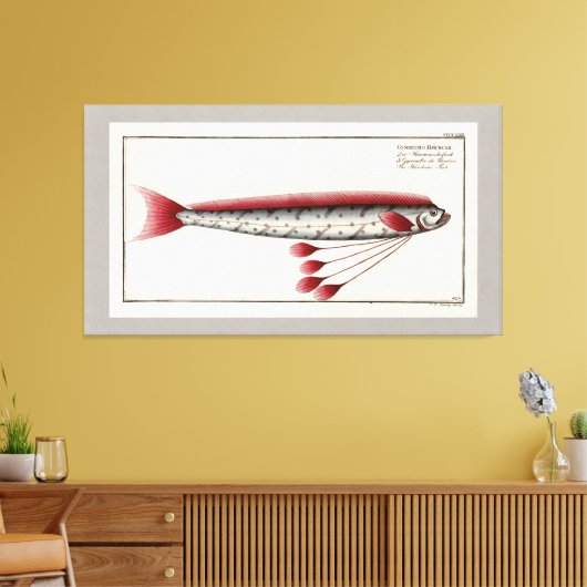 Giant Parfish  Print (Insitu (Woonkamer))