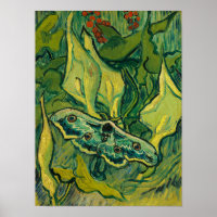 Giant Peacock Moth, 1889, door Vincent van Gogh