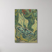 Giant Peacock Moth (1889) van Vincent van Gogh Canvas Afdruk (Voorkant)
