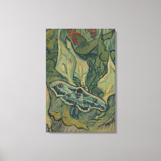 Giant Peacock Moth (1889) van Vincent van Gogh Canvas Afdruk (Voorkant)