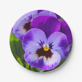 Giant pong Pansy vult dit op Papieren Bordje