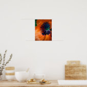 Giant Poppy Flower Poster (Keuken)