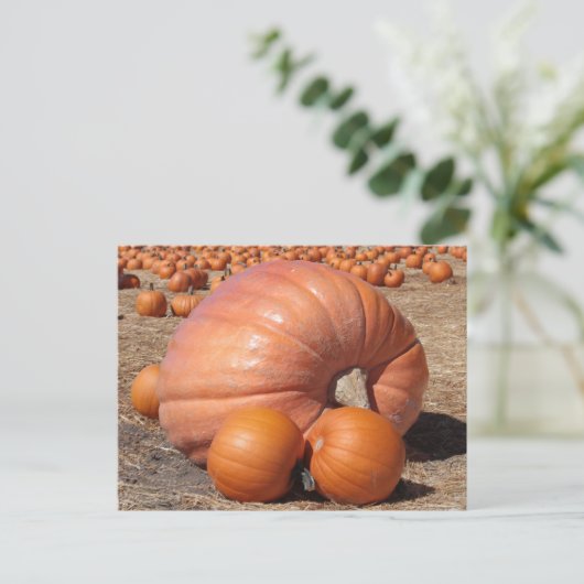 Giant Pumpkin Briefkaart (Staand voorkant)