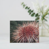 Giant Red Zee Urchin - Briefkaart (Staand voorkant)