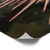 Giant Red Zee Urchin - Fine Art Print (Hoek)